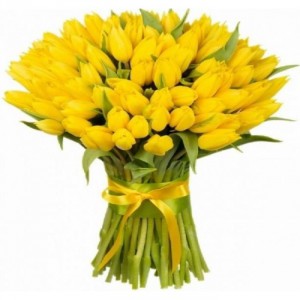 "101 тюльпан" "101 тюльпан"